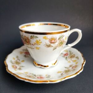 Vintage Rare Belcrest Autumn Teacup and Saucer